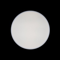 Купить с доставкой по Москве и России Накладной светильник LOFT IT 10002/24 White