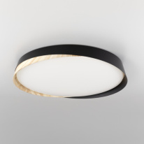 Купить  Citilux CL754451G