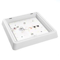 Купить с доставкой по Москве и России Накладной светильник Feron 41780