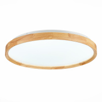 Купить Накладной светильник Evoluce SLE201382-01