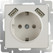 Фото Розетка Werkel WL03-SKGS-USBx2-IP20 (слоновая кость)