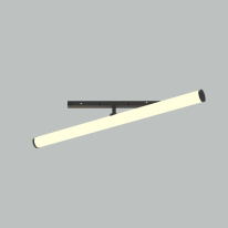 Фото Светильник на шине Maytoni Technical TR086-2-25W3K-B