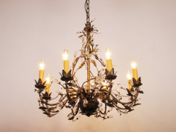 Купить Abrasax MD21694/8