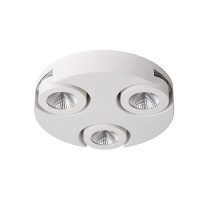 Фото Накладной светильник LUCIDE 33158/14/31