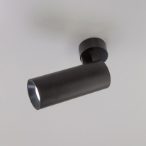 Цена на Спот Citilux CL01B121N