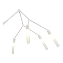 Купить Подвесная люстра Evoluce SLE1129-503-06