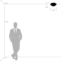 Купить Накладная люстра Lightstar 704032