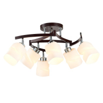 Люстра на штанге Citilux CL126162 Фото Люстра на штанге Citilux CL126162