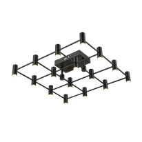 Фото Накладной светильник Vele Luce VL7162L16