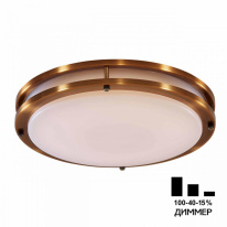 Фото Накладной светильник Citilux CL709503N