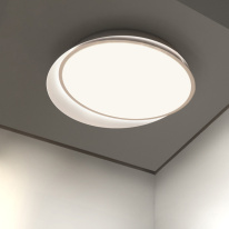 Цена на Накладной светильник ImperiumLoft 228947-26