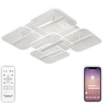 Фото Накладная люстра Natali Kovaltseva LED LAMPS 81383