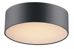 Фото Накладной светильник Favourite 1514-2C