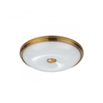 Накладной светильник Odeon Light 4956/4 Фото Накладной светильник Odeon Light 4956/4