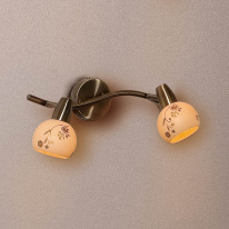 Купить Спот Citilux CL520523