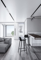 Купить с доставкой по Москве и России Шинопровод Maytoni Technical TRX004-211B