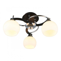 Фото Накладная люстра Omnilux OML-25407-03