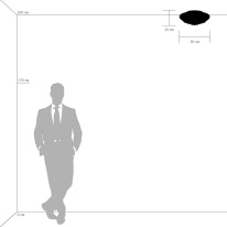 Купить с доставкой по Москве и России Накладная люстра Lightstar 704092