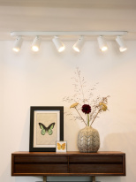 Купить Спот LUCIDE 23954/31/31