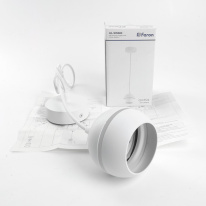 Купить с доставкой по Москве и России Подвесной светильник Feron 48089