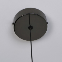 Купить с доставкой по Москве и России Подвесной светильник Favourite 4369-1P