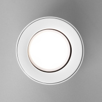 Купить Накладной светильник Elektrostandard DLN116 GU10 белый