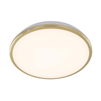 Фото Накладной уличный светильник Citilux CL702222W