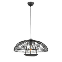 Фото Подвесной светильник Vele Luce VL6282P01