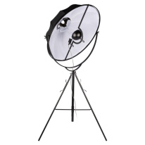 Купить Торшер LOFT IT 10301/L