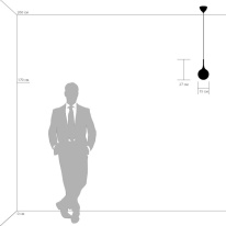 Цена на Подвесной светильник Lightstar 813013