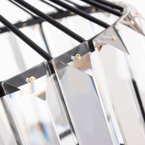 Цена на Подвесной светильник ARTE Lamp A1789SP-1BK