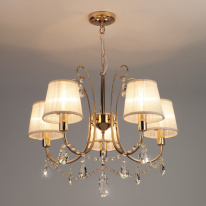 Купить Подвесная люстра Eurosvet 10087/5 золото/прозрачный хрусталь Strotskis