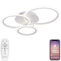 Фото Накладная люстра Natali Kovaltseva LED LAMPS 81175