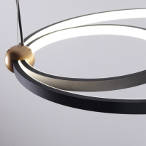 Купить с доставкой по Москве и России Подвесная люстра Favourite 4569-1P