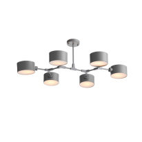 Фото Люстра на штанге Evoluce SLE183702-06