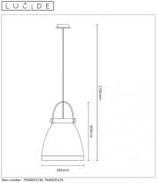 Купить Подвесной светильник LUCIDE 75400/01/31