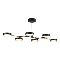 Фото Люстра на штанге Evoluce SLE6004-402-06