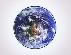 Цена на Детское бра Ambrella Light FW11132