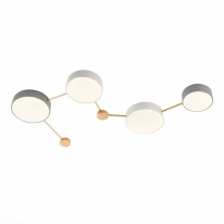 Купить Накладной светильник Evoluce SLE600102-04