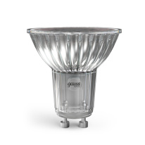 Купить с доставкой по Москве и России Светодиодная лампа Gauss 10106262