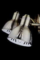 Купить Спот Eurosvet 20052/2 античная бронза