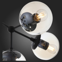 Купить Накладная люстра ST-Luce SL549.402.09