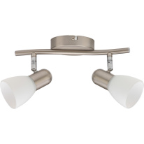 Фото Спот TOPLIGHT TL1231Y-02SN