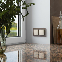 Купить Розетка Werkel W1171262