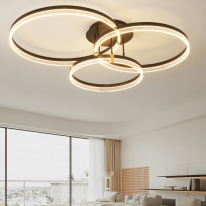 Купить с доставкой по Москве и России Накладной светильник ImperiumLoft 231151-23