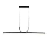 Фото Подвесной светильник Favourite 4096-2P