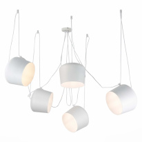 Фото Подвесной светильник Evoluce SLE120653-05