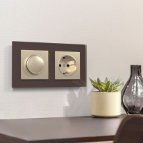 Купить Диммеры Werkel W1142011