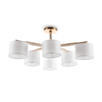 Цена на Люстра на штанге Freya FR5386CL-06G