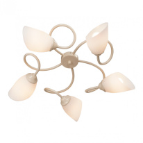 Фото Накладная люстра Vitaluce V3189/5PL